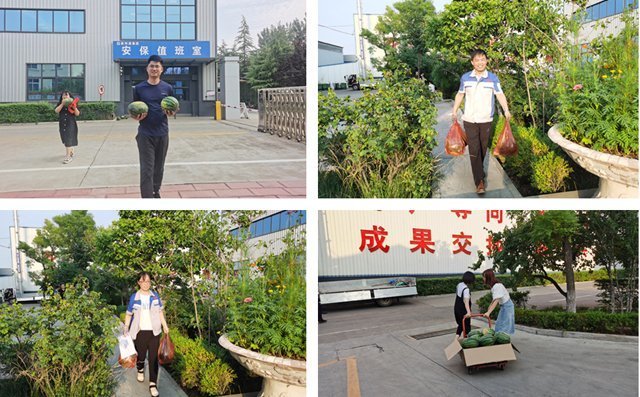 職工手捧西瓜,個個臉上都洋溢著燦爛的微笑 職工手捧西瓜,個個臉上都洋溢著燦爛的微笑